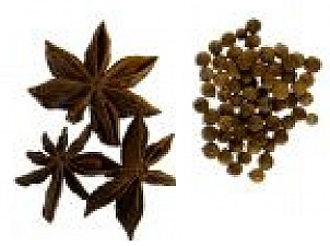 gastroenterolog&iacute;a colombia